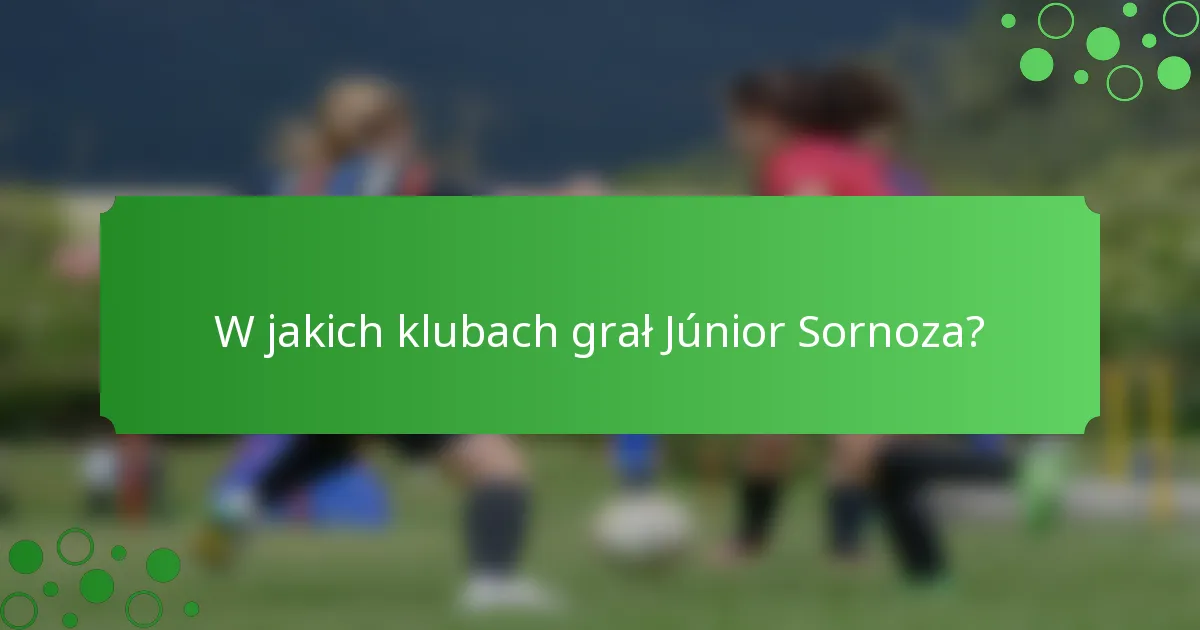 W jakich klubach grał Júnior Sornoza?